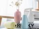 Bestselling ceramic vase (1)