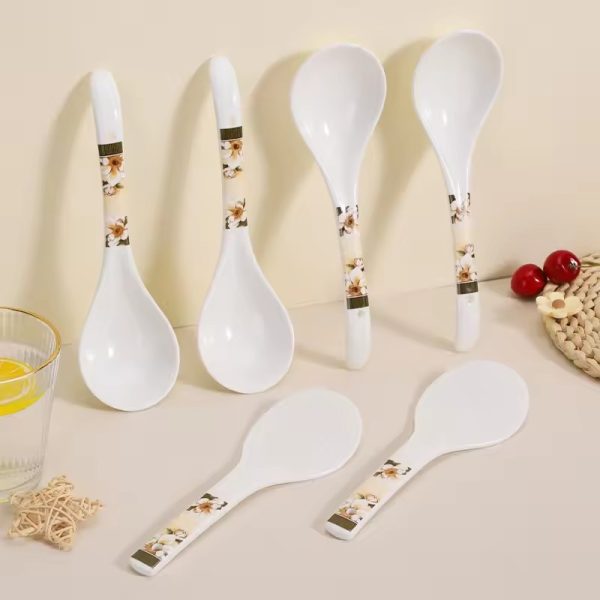 Ceramic Spoon Supplier (1)