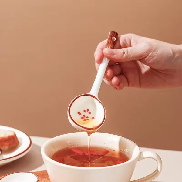Ceramic Spoon Supplier (4)