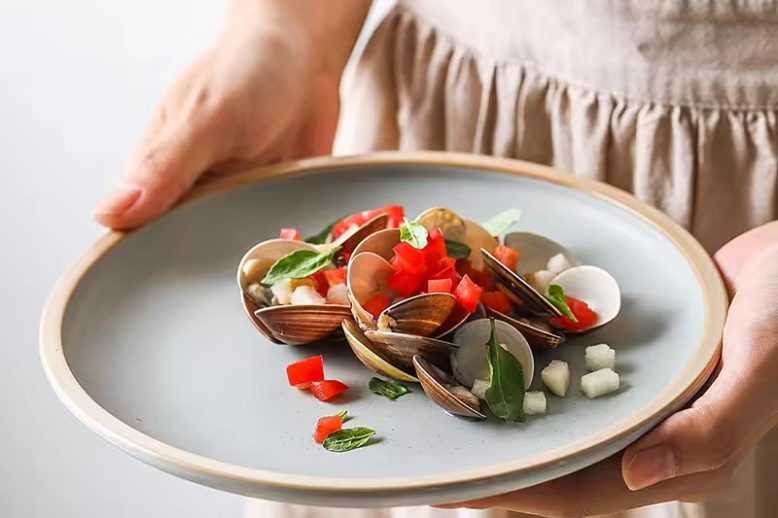 Ceramic plate manufacturer (1)