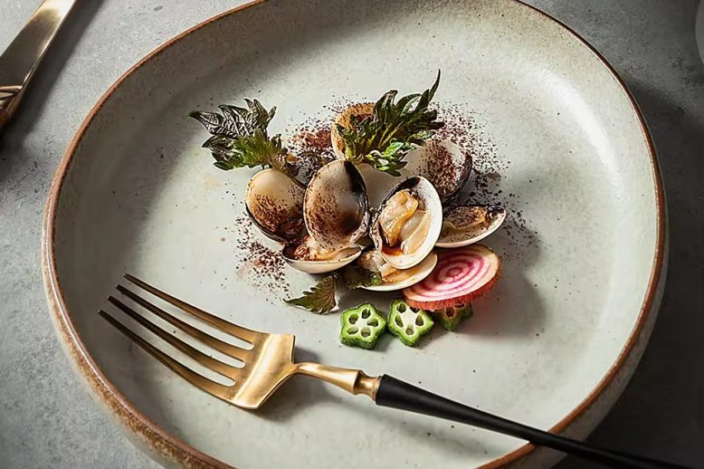 Ceramic plate manufacturer (1) Ceramic plate manufacturer (1)