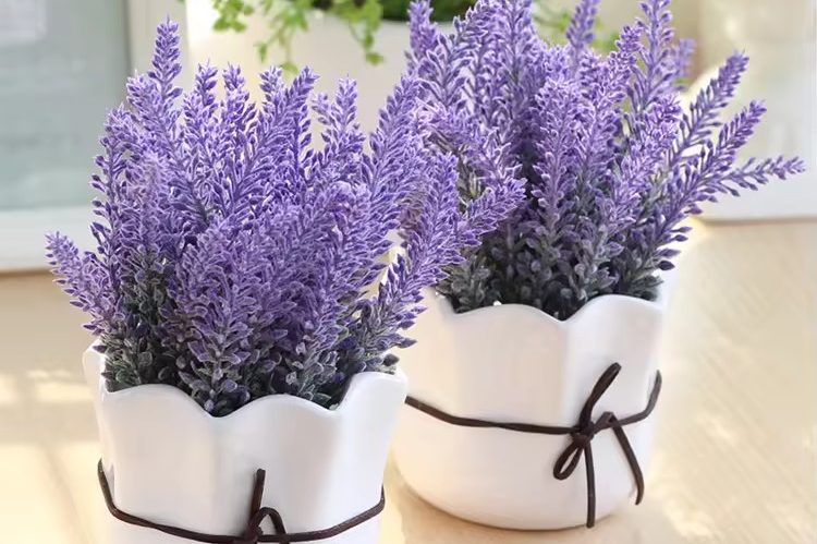 Hot selling ceramic flower pot Hot selling ceramic flower pot